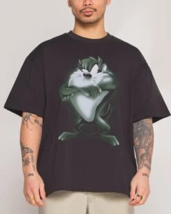 Looney Tunes Taz Vintage Oversized Tee