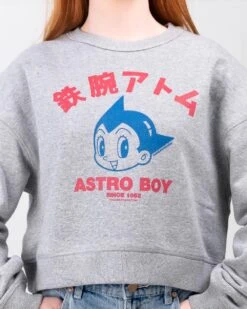 Astro Boy Face Crop Jumper