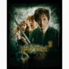 Harry Potter Chamber Of Secrets Art Print -Threadheads Clothing HP Chamber of Secrets WallArtMockUp 1