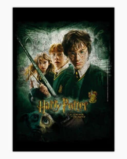 Harry Potter Chamber Of Secrets Art Print