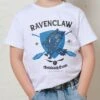 Harry Potter Ravenclaw Quidditch Team Kids T-Shirt -Threadheads Clothing KidsWhiteTee 0db1ba8d 2130 4847 8253 019c2fdcd0ed