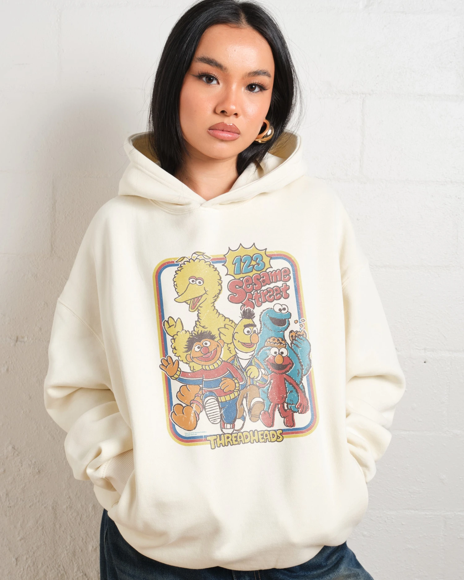 Sesame Street 123 Sesame St Hoodie 3 Sesame Street 123 Sesame St Hoodie