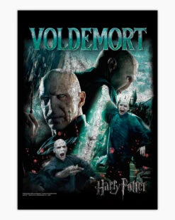 Harry Potter Voldemort Vintage Art Print