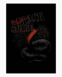 Red Bellied Black Snake Art Print