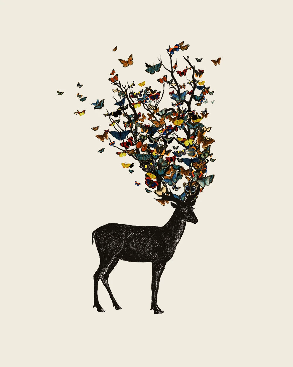 Wild Nature T-Shirt 4 Wild Nature T-Shirt - Image 2