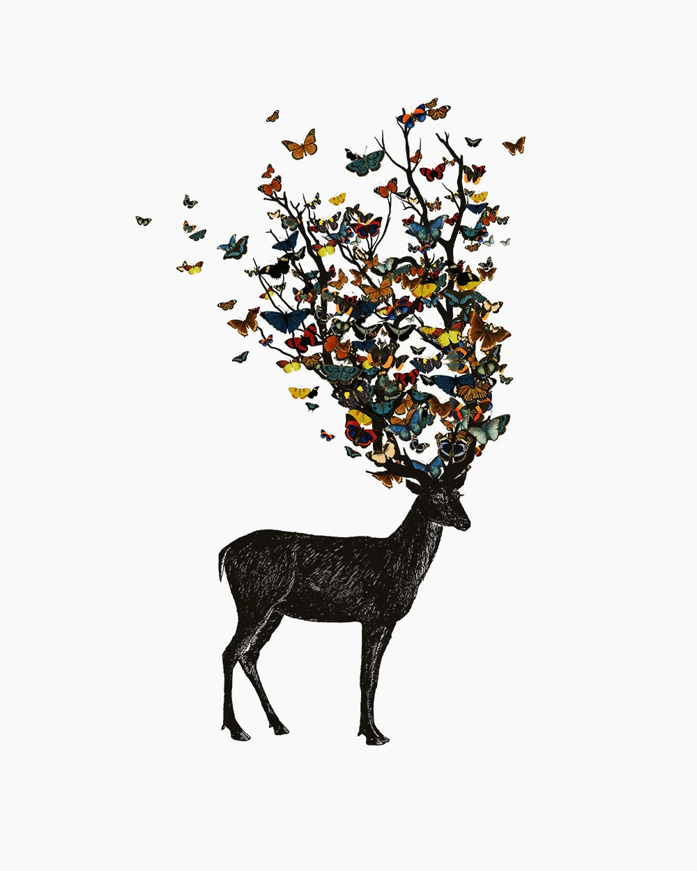 Wild Nature T-Shirt 6 Wild Nature T-Shirt - Image 4